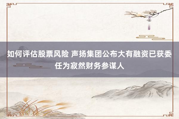 如何评估股票风险 声扬集团公布大有融资已获委任为寂然财务参谋人