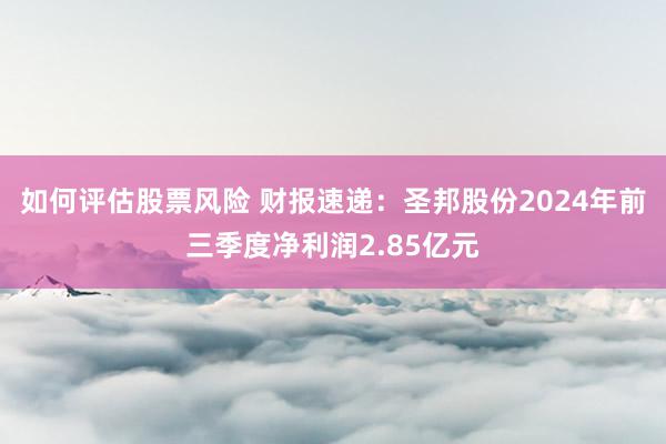 如何评估股票风险 财报速递：圣邦股份2024年前三季度净利润2.85亿元