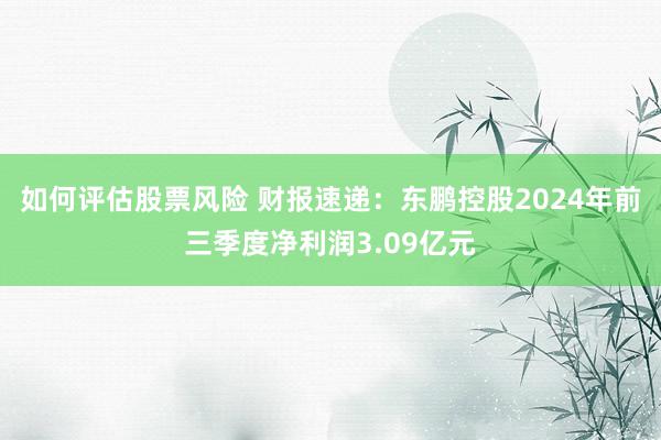 如何评估股票风险 财报速递：东鹏控股2024年前三季度净利润3.09亿元