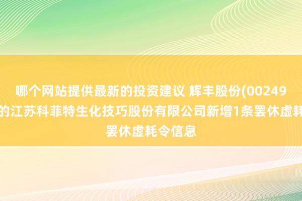 哪个网站提供最新的投资建议 辉丰股份(002496)控股的江苏科菲特生化技巧股份有限公司新增1条罢休虚耗令信息