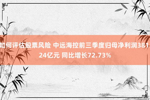 如何评估股票风险 中远海控前三季度归母净利润381.24亿元 同比增长72.73%