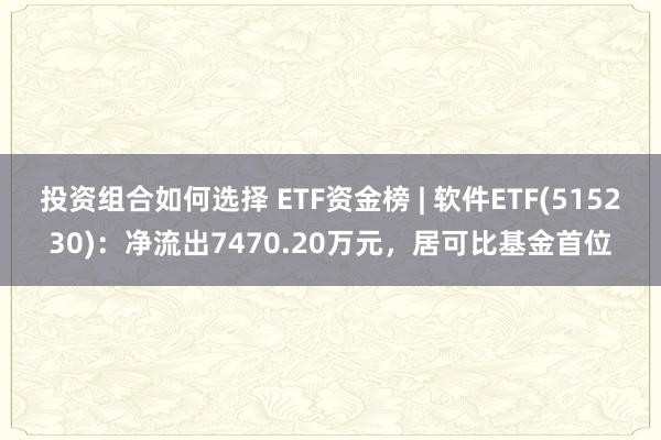 投资组合如何选择 ETF资金榜 | 软件ETF(515230)：净流出7470.20万元，居可比基金首位