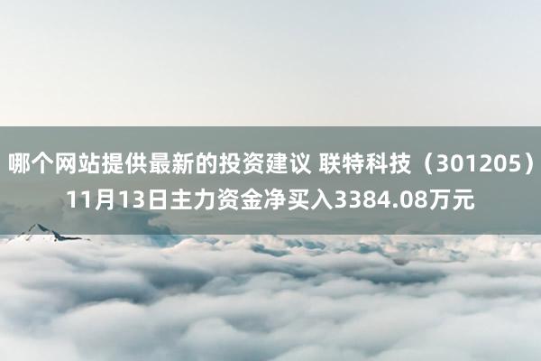 哪个网站提供最新的投资建议 联特科技（301205）11月13日主力资金净买入3384.08万元