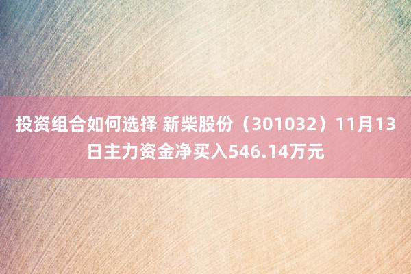 投资组合如何选择 新柴股份（301032）11月13日主力资金净买入546.14万元