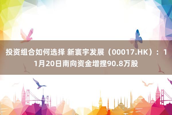 投资组合如何选择 新寰宇发展（00017.HK）：11月20日南向资金增捏90.8万股