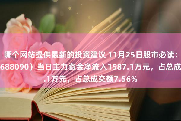 哪个网站提供最新的投资建议 11月25日股市必读：瑞松科技（688090）当日主力资金净流入1587.1万元，占总成交额7.56%