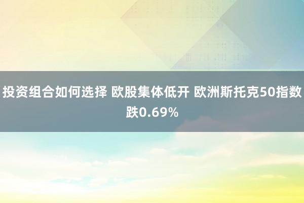 投资组合如何选择 欧股集体低开 欧洲斯托克50指数跌0.69%