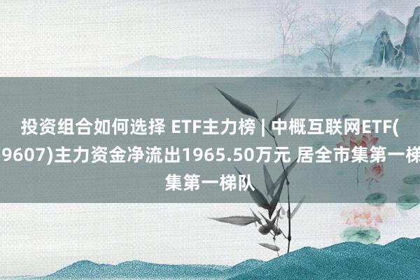 投资组合如何选择 ETF主力榜 | 中概互联网ETF(159607)主力资金净流出1965.50万元 居全市集第一梯队