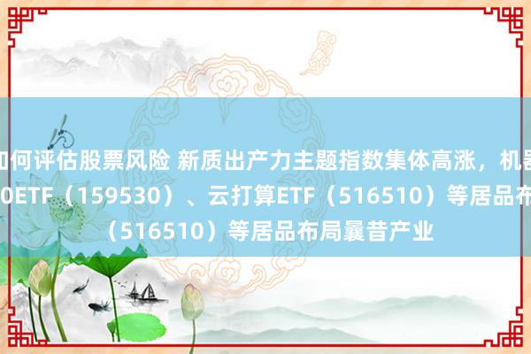 如何评估股票风险 新质出产力主题指数集体高涨，机器东说念主100ETF（159530）、云打算ETF（516510）等居品布局曩昔产业