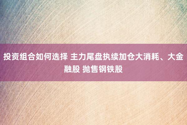 投资组合如何选择 主力尾盘执续加仓大消耗、大金融股 抛售钢铁股