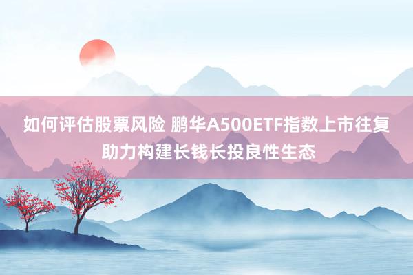 如何评估股票风险 鹏华A500ETF指数上市往复 助力构建长钱长投良性生态