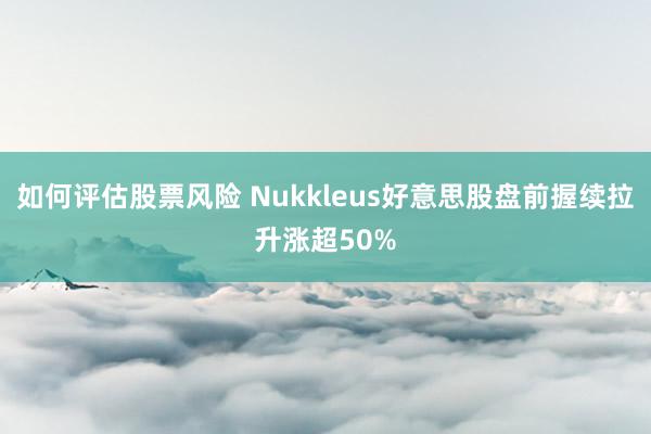 如何评估股票风险 Nukkleus好意思股盘前握续拉升涨超50%