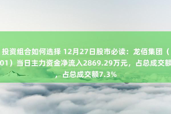 投资组合如何选择 12月27日股市必读：龙佰集团（002601）当日主力资金净流入2869.29万元，占总成交额7.3%