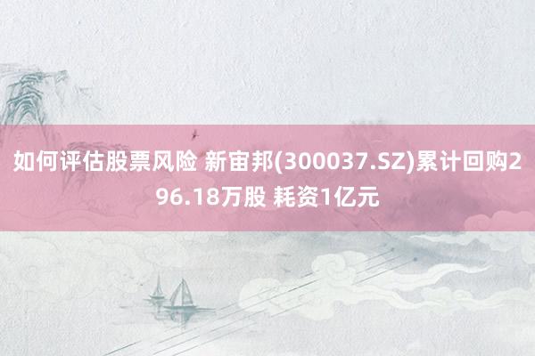 如何评估股票风险 新宙邦(300037.SZ)累计回购296.18万股 耗资1亿元