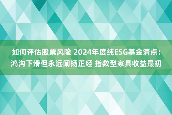 如何评估股票风险 2024年度纯ESG基金清点：鸿沟下滑但永远阐扬正经 指数型家具收益最初