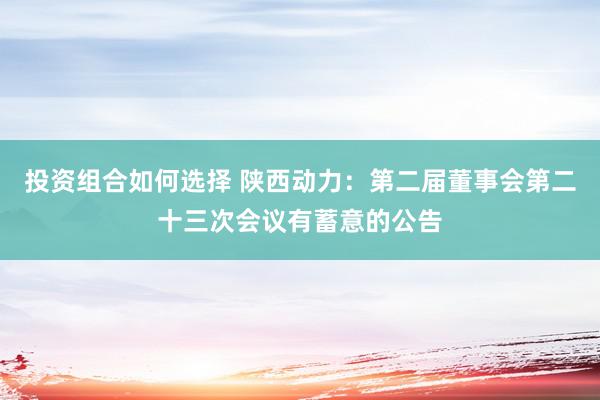 投资组合如何选择 陕西动力：第二届董事会第二十三次会议有蓄意的公告