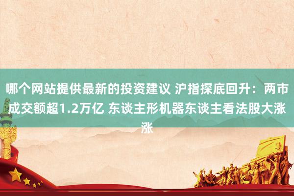 哪个网站提供最新的投资建议 沪指探底回升：两市成交额超1.2万亿 东谈主形机器东谈主看法股大涨