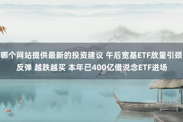 哪个网站提供最新的投资建议 午后宽基ETF放量引颈反弹 越跌越买 本年已400亿借说念ETF进场