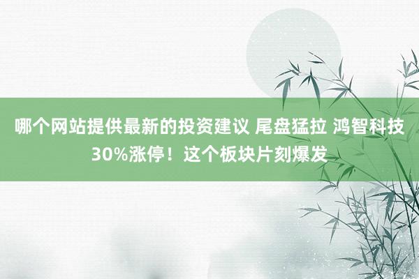 哪个网站提供最新的投资建议 尾盘猛拉 鸿智科技30%涨停！这个板块片刻爆发