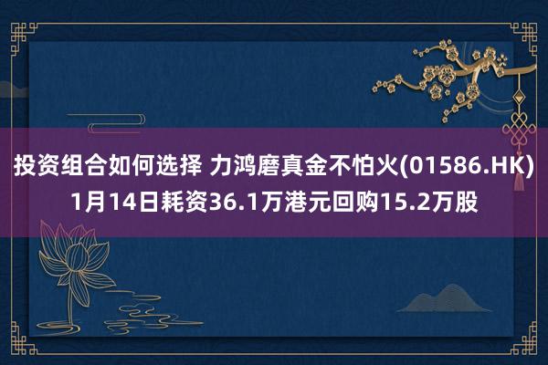 投资组合如何选择 力鸿磨真金不怕火(01586.HK)1月14日耗资36.1万港元回购15.2万股