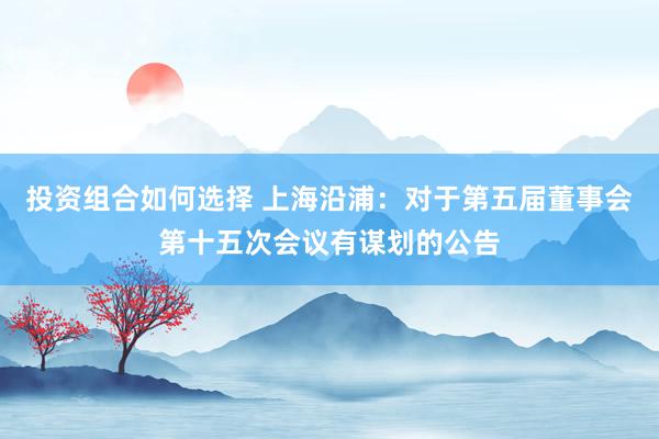 投资组合如何选择 上海沿浦：对于第五届董事会第十五次会议有谋划的公告