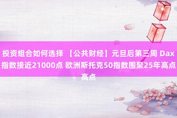 投资组合如何选择 【公共财经】元旦后第三周 Dax指数接近21000点 欧洲斯托克50指数围聚25年高点