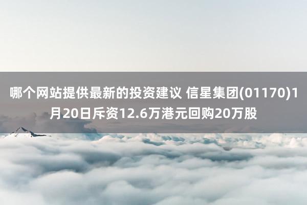 哪个网站提供最新的投资建议 信星集团(01170)1月20日斥资12.6万港元回购20万股