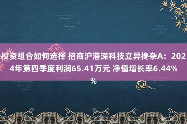 投资组合如何选择 招商沪港深科技立异搀杂A：2024年第四季度利润65.41万元 净值增长率6.44%