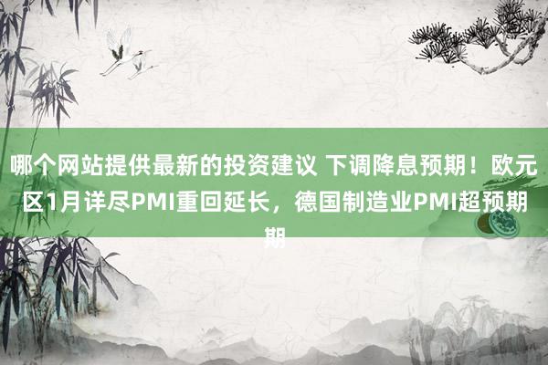 哪个网站提供最新的投资建议 下调降息预期！欧元区1月详尽PMI重回延长，德国制造业PMI超预期