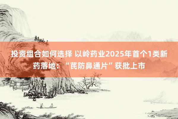 投资组合如何选择 以岭药业2025年首个1类新药落地：“芪防鼻通片”获批上市