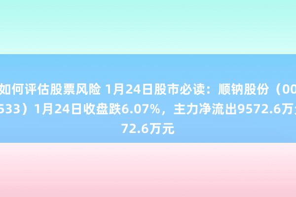 如何评估股票风险 1月24日股市必读：顺钠股份（000533）1月24日收盘跌6.07%，主力净流出9572.6万元