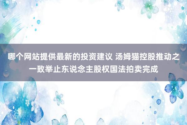 哪个网站提供最新的投资建议 汤姆猫控股推动之一致举止东说念主股权国法拍卖完成