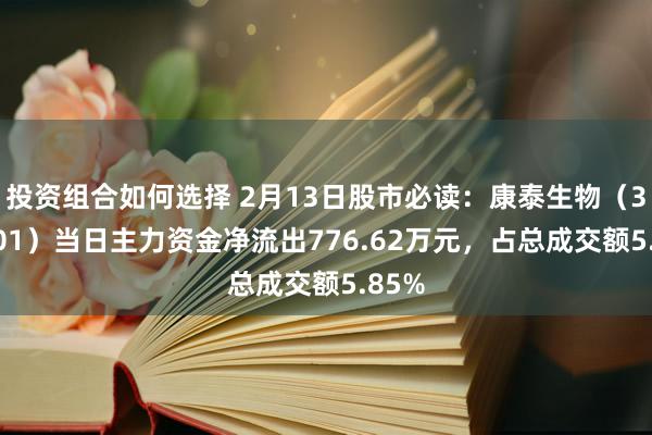 投资组合如何选择 2月13日股市必读：康泰生物（300601）当日主力资金净流出776.62万元，占总成交额5.85%