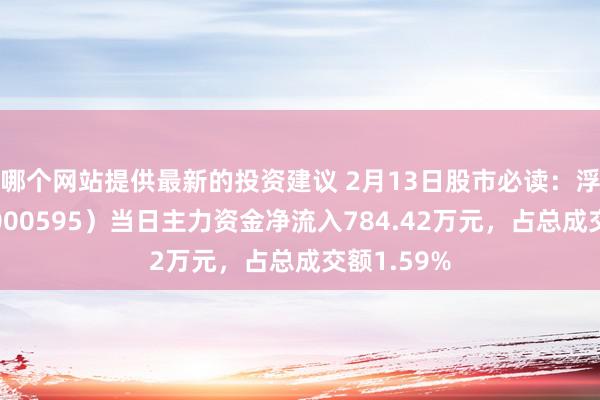 哪个网站提供最新的投资建议 2月13日股市必读：浮屠实业（000595）当日主力资金净流入784.42万元，占总成交额1.59%