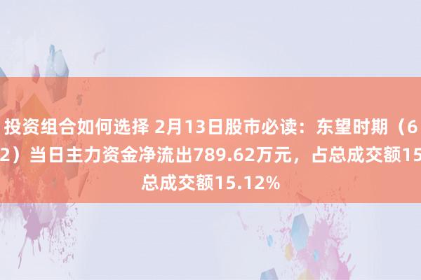 投资组合如何选择 2月13日股市必读：东望时期（600052）当日主力资金净流出789.62万元，占总成交额15.12%