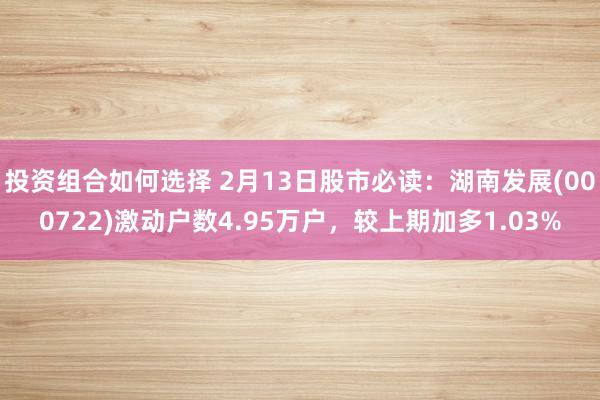 投资组合如何选择 2月13日股市必读：湖南发展(000722)激动户数4.95万户，较上期加多1.03%