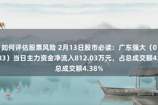 如何评估股票风险 2月13日股市必读：广东强大（002683）当日主力资金净流入812.03万元，占总成交额4.38%