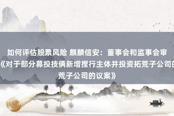 如何评估股票风险 麒麟信安：董事会和监事会审议通过《对于部分募投技俩新增捏行主体并投资拓荒子公司的议案》