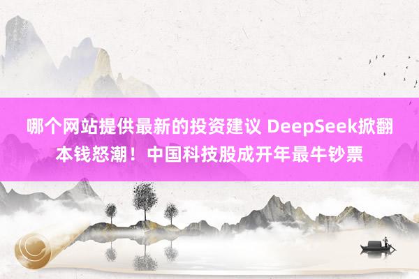 哪个网站提供最新的投资建议 DeepSeek掀翻本钱怒潮！中国科技股成开年最牛钞票