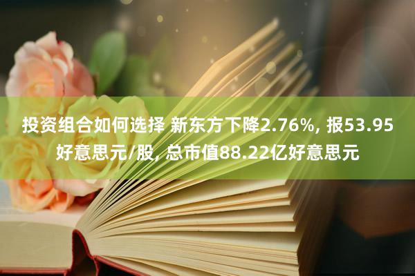 投资组合如何选择 新东方下降2.76%, 报53.95好意思元/股, 总市值88.22亿好意思元