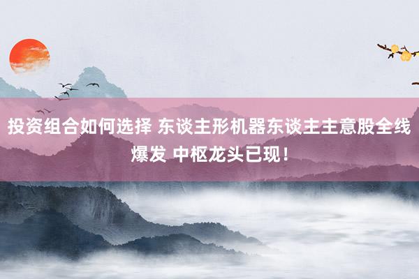 投资组合如何选择 东谈主形机器东谈主主意股全线爆发 中枢龙头已现！