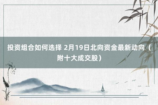 投资组合如何选择 2月19日北向资金最新动向（附十大成交股）