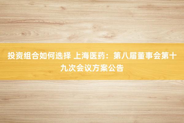 投资组合如何选择 上海医药：第八届董事会第十九次会议方案公告