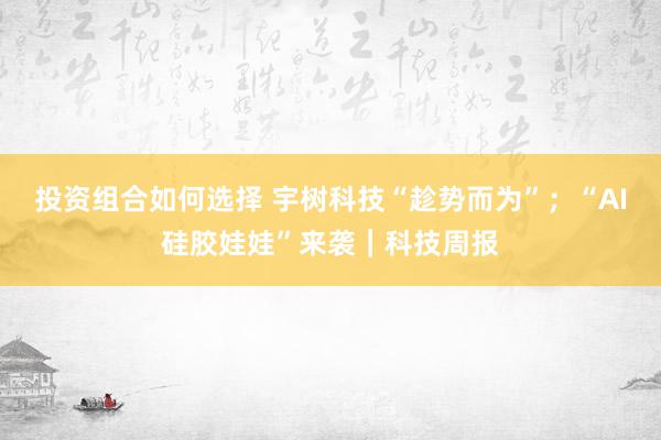 投资组合如何选择 宇树科技“趁势而为”；“AI硅胶娃娃”来袭｜科技周报