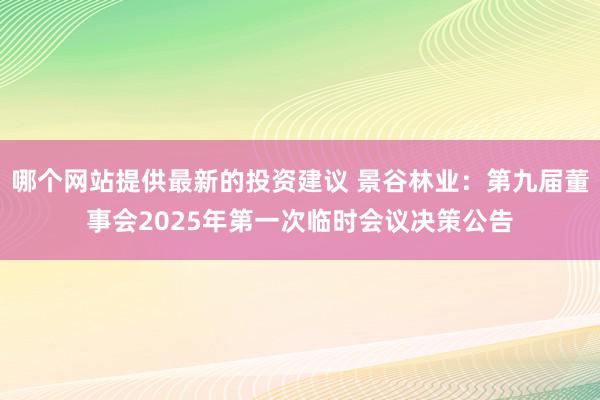 哪个网站提供最新的投资建议 景谷林业：第九届董事会2025年第一次临时会议决策公告