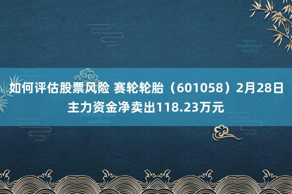 如何评估股票风险 赛轮轮胎（601058）2月28日主力资金净卖出118.23万元