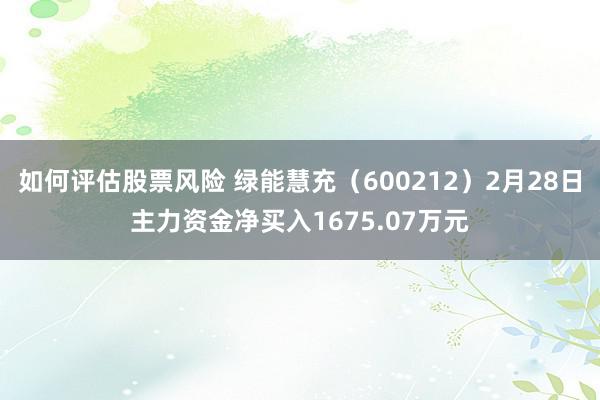 如何评估股票风险 绿能慧充（600212）2月28日主力资金净买入1675.07万元