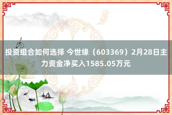 投资组合如何选择 今世缘（603369）2月28日主力资金净买入1585.05万元