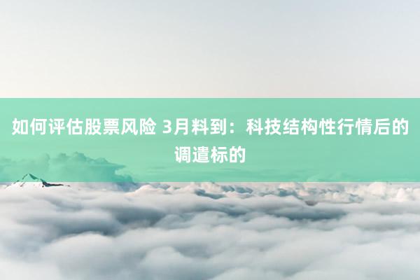 如何评估股票风险 3月料到：科技结构性行情后的调遣标的