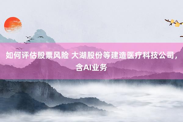 如何评估股票风险 大湖股份等建造医疗科技公司，含AI业务